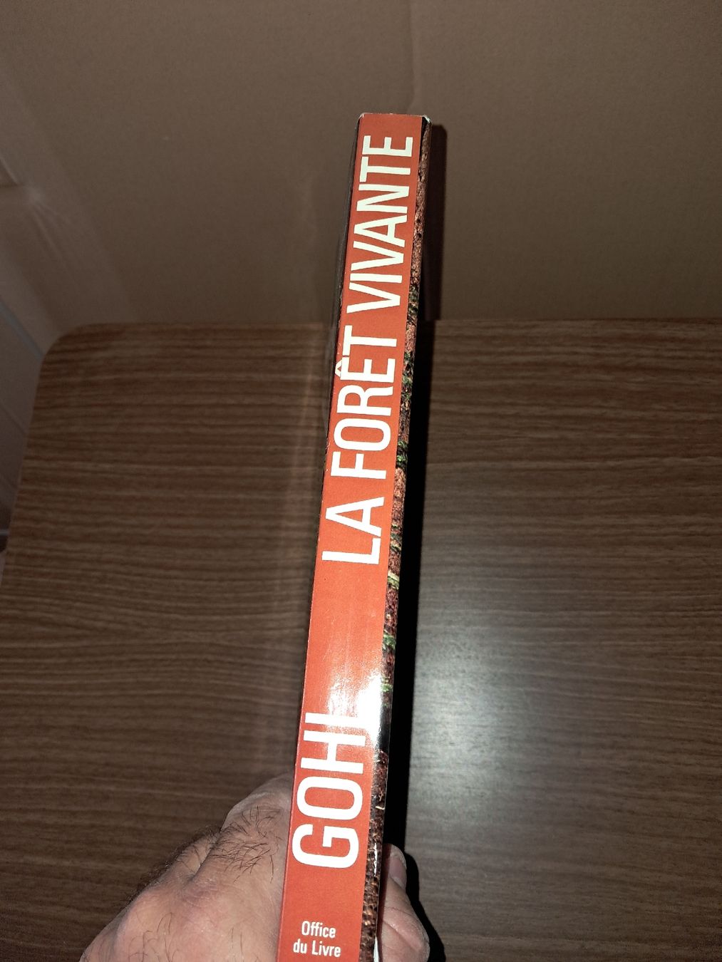 Libri: Heinrich Gohl la Foret vivante – Usato da Le locle venduto da juliensaran 2