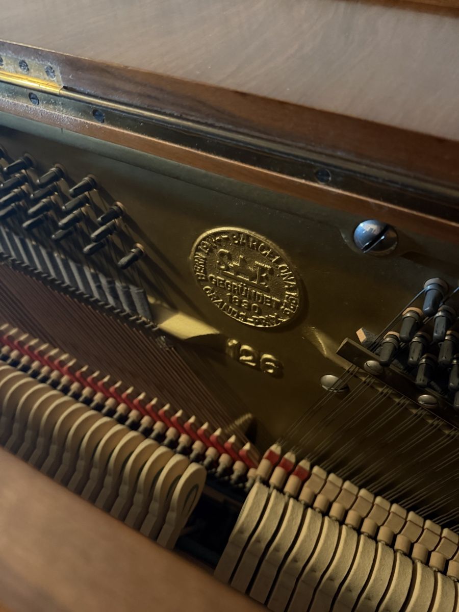 Schmidt-Flohr Strumenti musicali: Klavier SCHMIDT-FLOHR Bern 24471 Echtholz – Usato da Wetzikon ZH venduto da Ouicem85 3