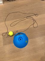 Tennis Training Ball