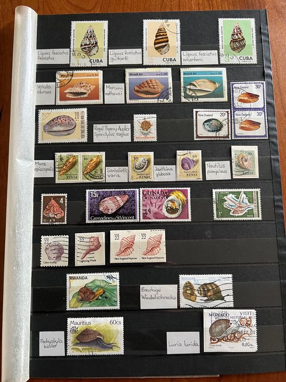 Muscheln, Krebse Motive Briefmarken ganze Welt (734) | Kaufen auf Ricardo