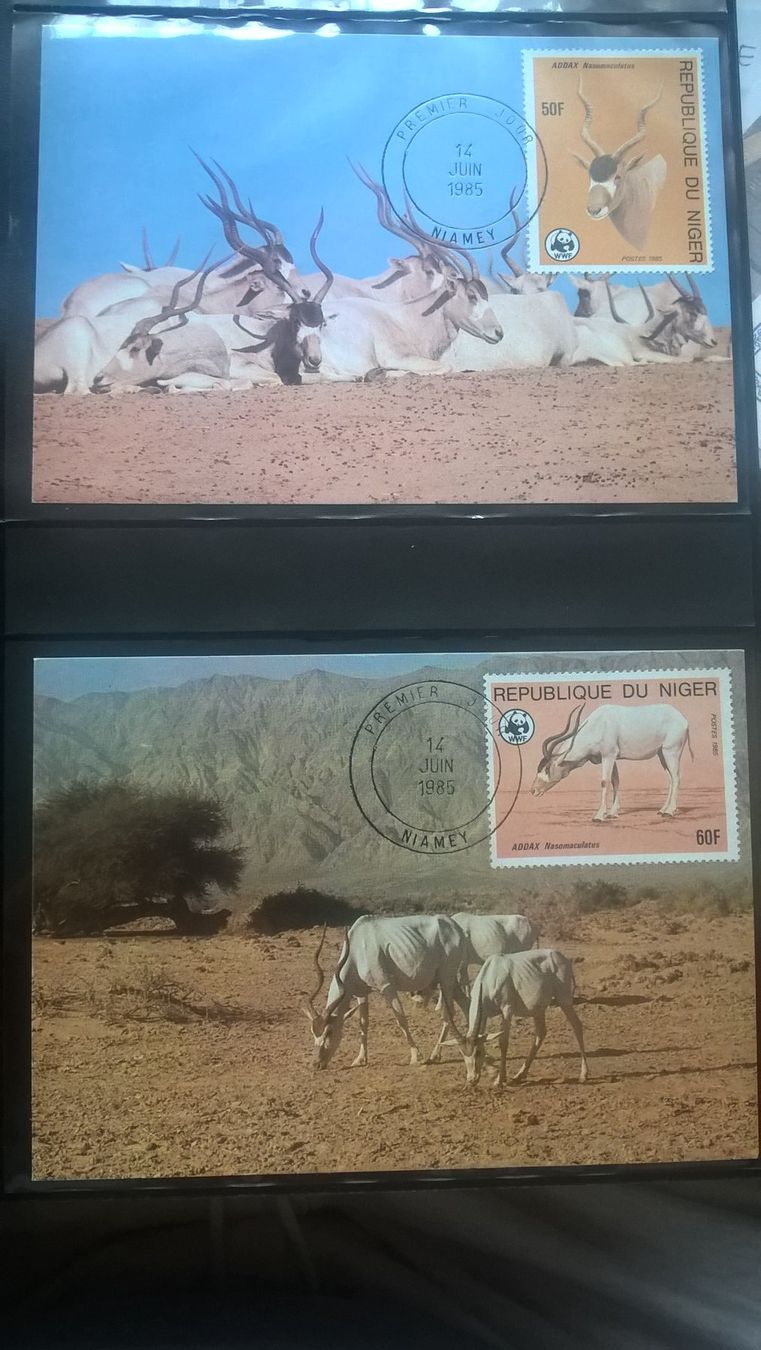Tutti i francobolli: WWF Niger 1985 Wüstenantilope Satz Maximumkarten – Nuovo (secondo la descrizione) da Winterthur venduto da schnueps