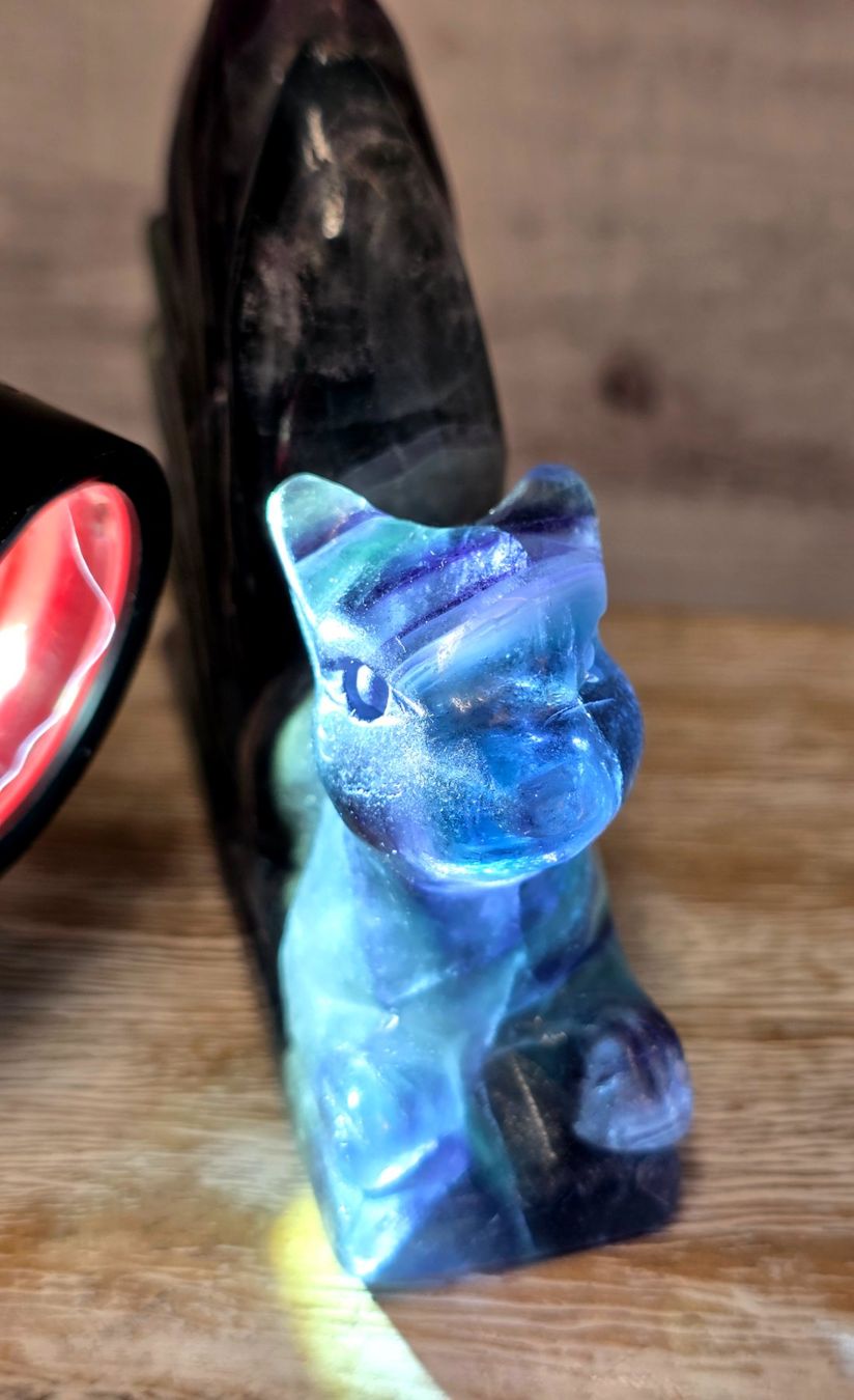 Minerali & Pietre curative: Regenbogen Fluorit Fuchs 565g – Nuovo e nell'imballaggio originale da Matzingen venduto da Shay_Crystalz 2
