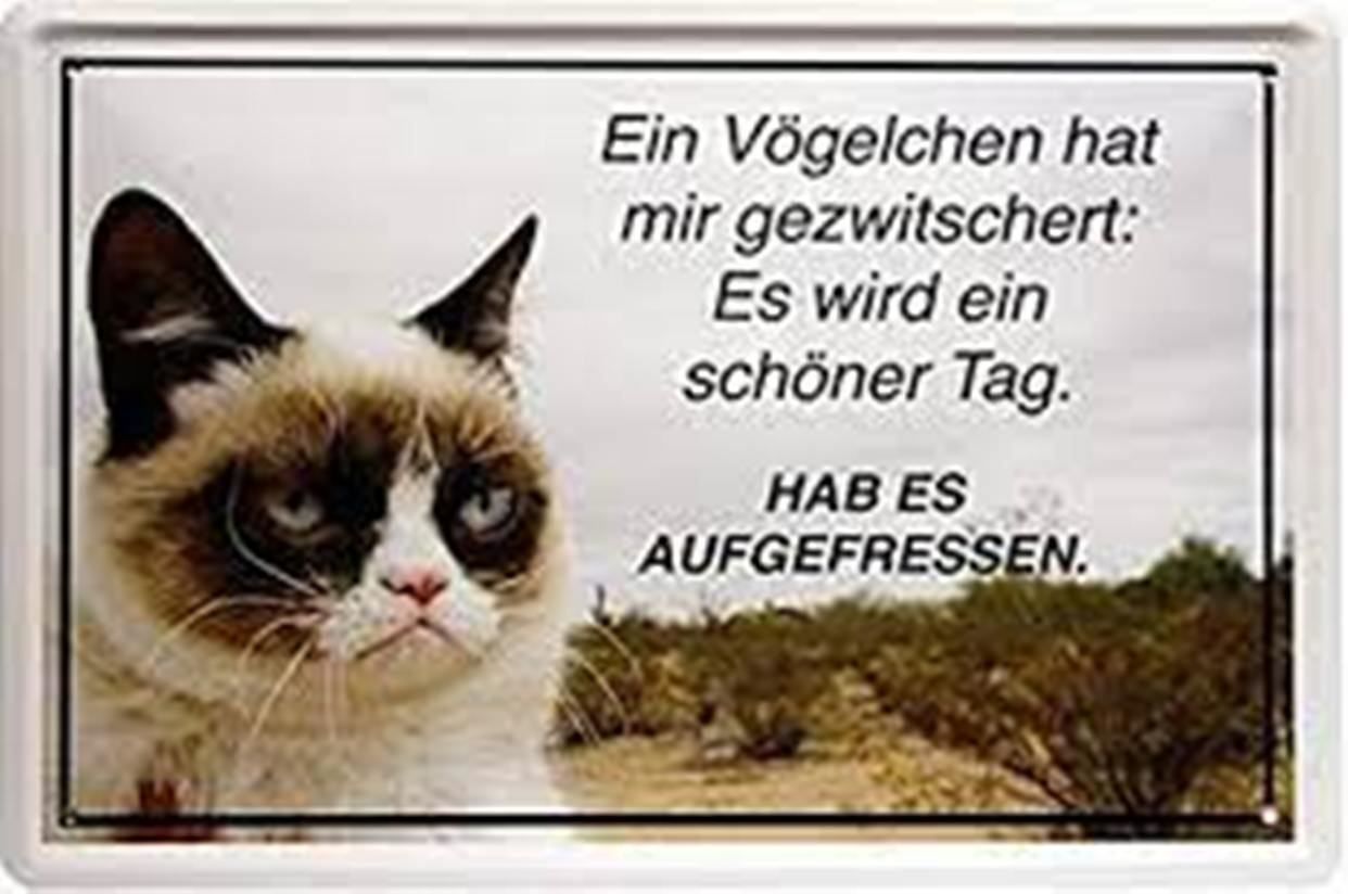 Insegne: Blechschild-EIN VÖGELCHEN HAT MIR GEZWIT – Nuovo e nell'imballaggio originale da Rupperswil venduto da big-one-sale