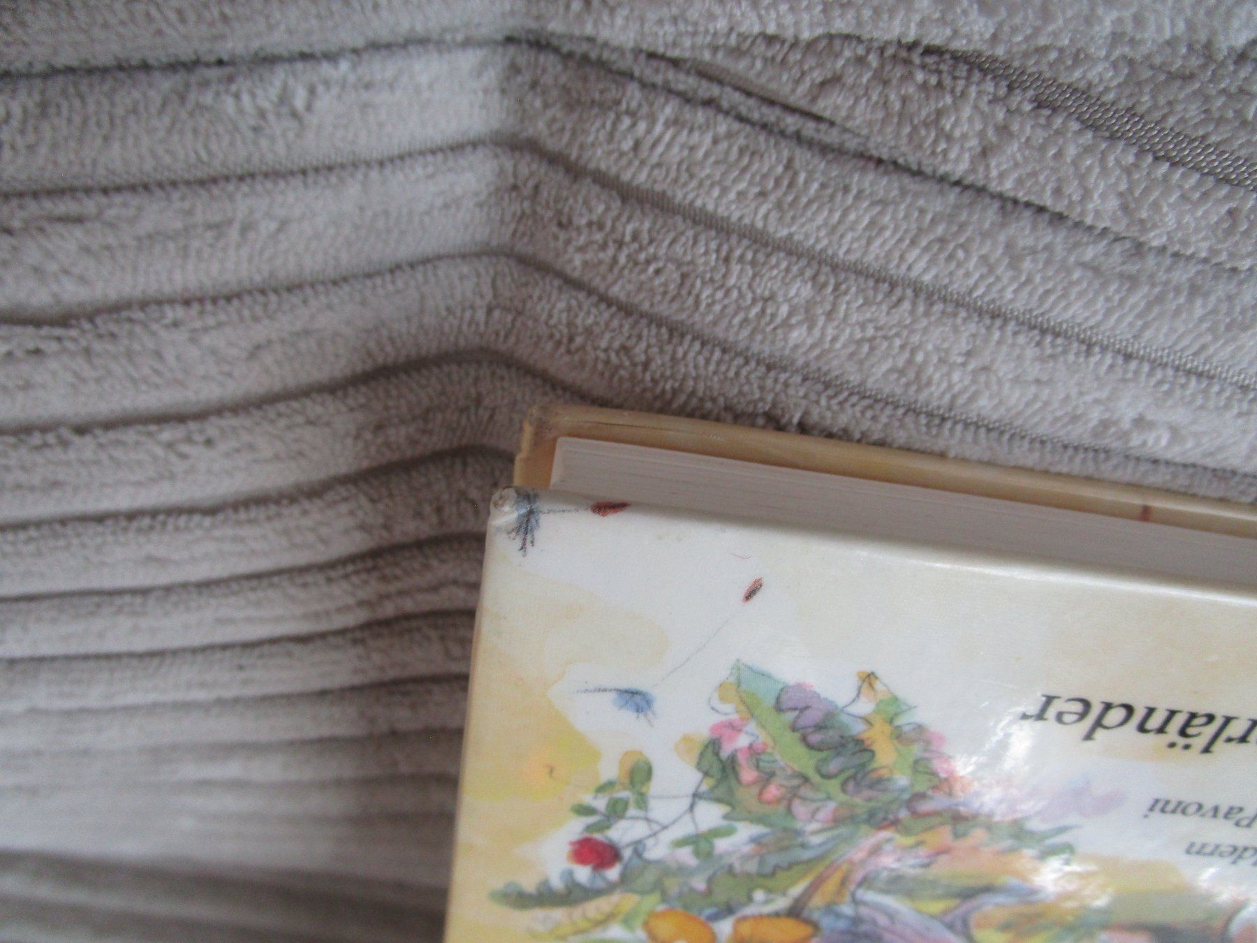 Libri: Max Bolliger: Stummel - Ein Hasenkind wird gross,Top! – Usato da Scuol venduto da Luana.. 5