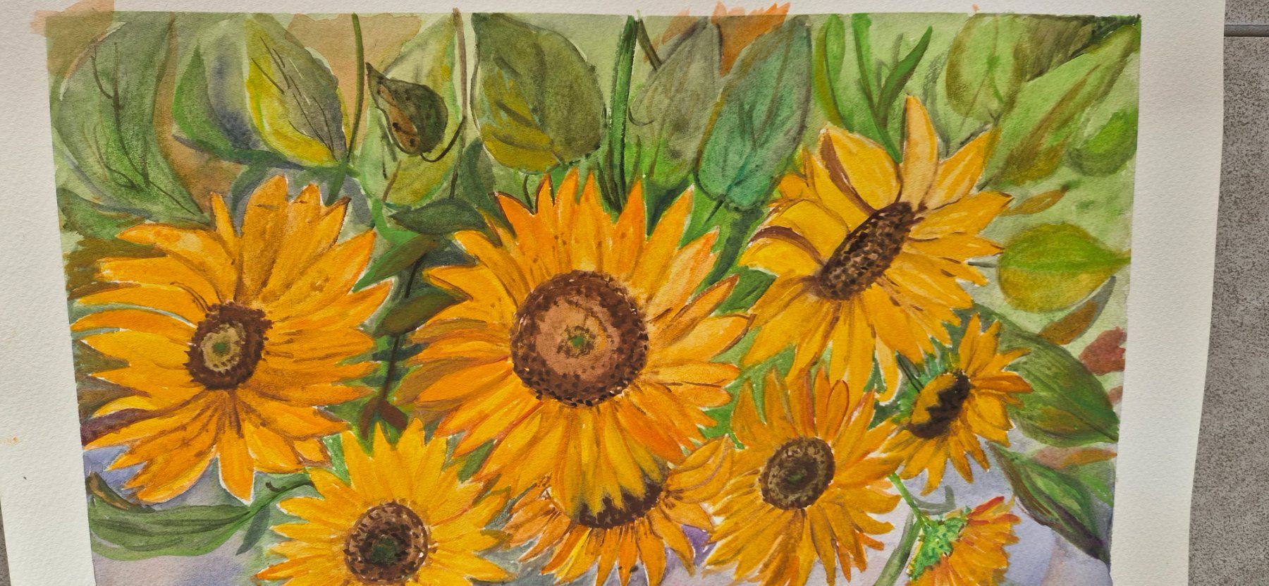 Dipinti: Watercolor sunflower – Nuovo e nell'imballaggio originale da Ebikon venduto da vij_fg72 1