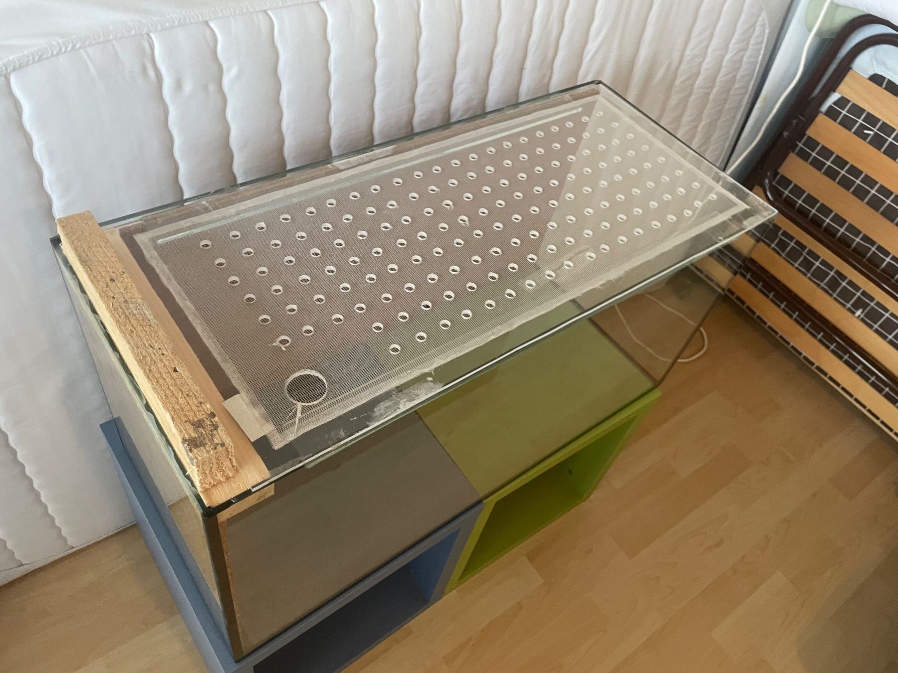 Terrario: Gebrauchtes Terrarium / Aquarium – Usato da Neunkirch venduto da mic_2jzd 1