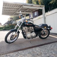 Harley Davidson XL883 Custom