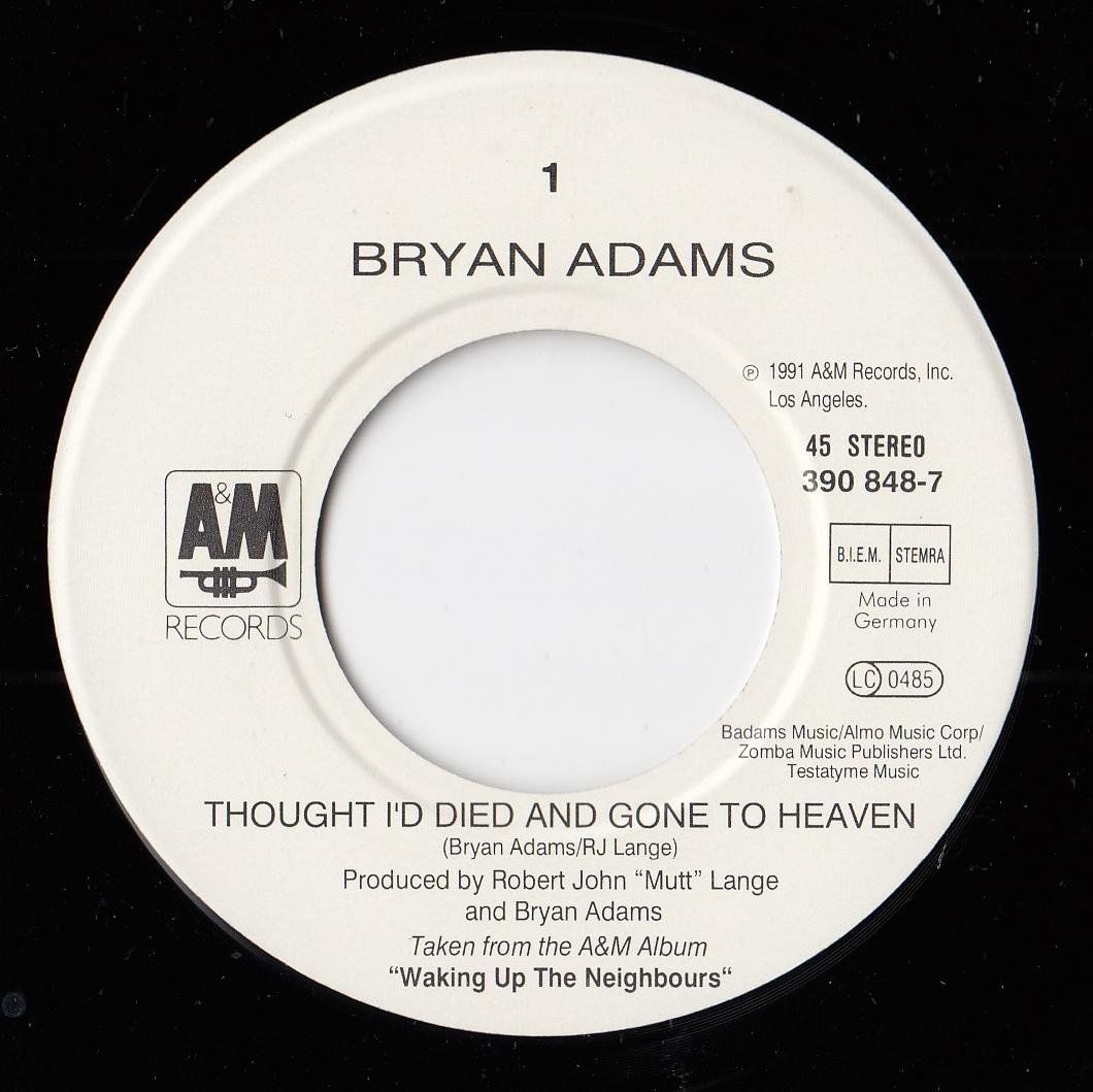 Dischi in vinile: Bryan Adams Vinyl Single von 1991 – Usato da Volketswil venduto da Abcrecords 2