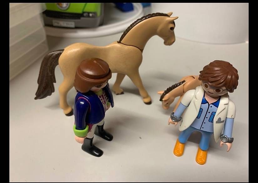 Giocattoli: Playmobil Pferdebox mit Koppel – Usato da Kefikon ZH venduto da Haligali81 1
