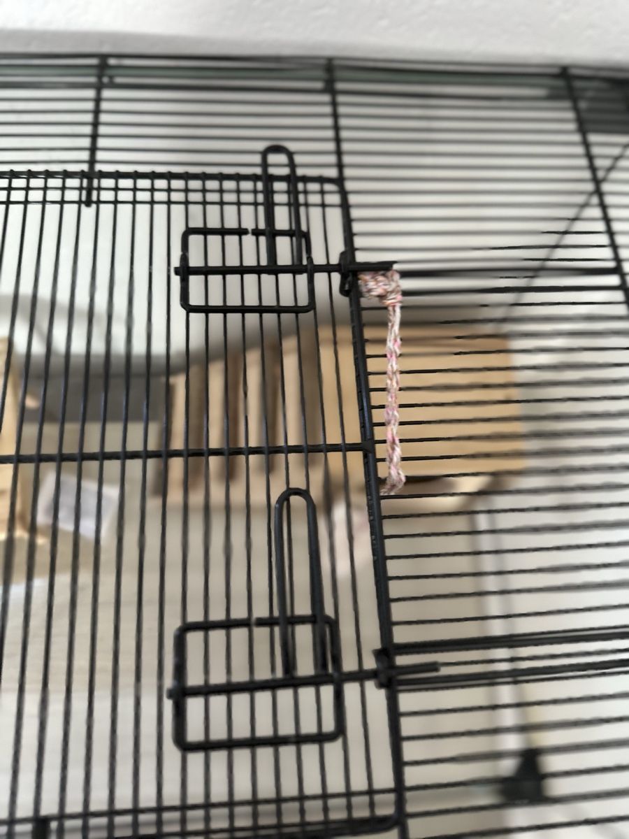 Gabbie, trasporto & Sicurezza: Hamster Cage with Accessories & Storage Unit - Nice! – Usato da Lenzburg venduto da buy_my92 4