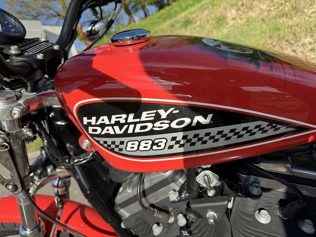 Chopper: Harley-Davidson Sportster 883R  – Usato da Laufenburg venduto da fal_lm5f 2