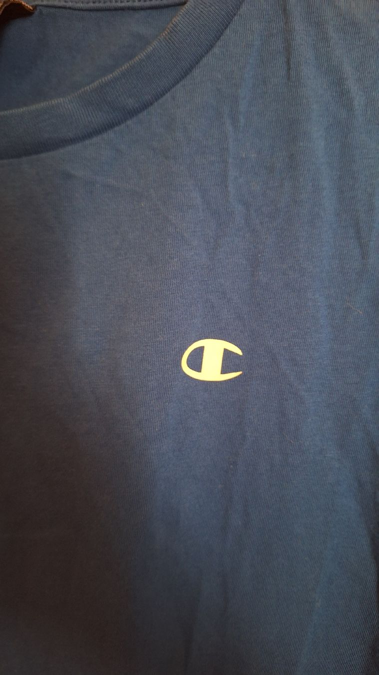 Champion Camicie, T-shirt & Polo: Champion T-Shirt Blau – Usato da Winterthur venduto da _lxeah 3