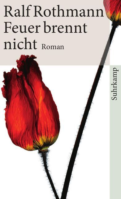 Libri: Rothmann Ralf - Feuer brennt nicht / Roman – Usato da Schaffhausen venduto da buecherlaus