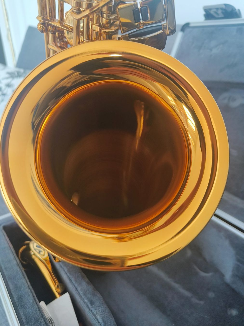 Selmer Strumenti musicali: Selmer Reference 54 alto saxophone – Nuovo (secondo la descrizione) da Fribourg venduto da lau_qwl5 8