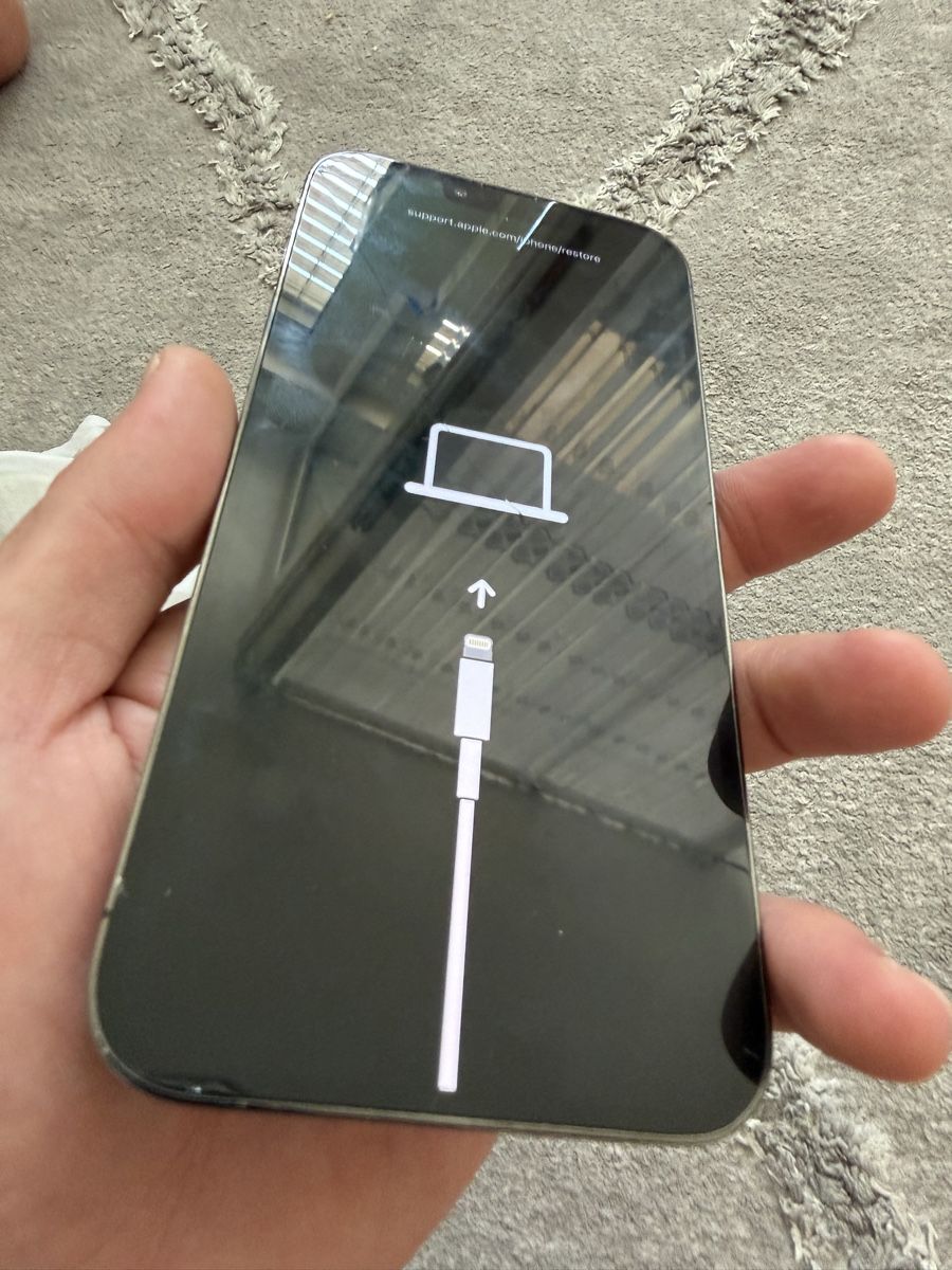 Apple Telefoni cellulari / Smartphones: iPhone 13 Pro Max  – Difettoso da Meyrin venduto da SA_3006 2