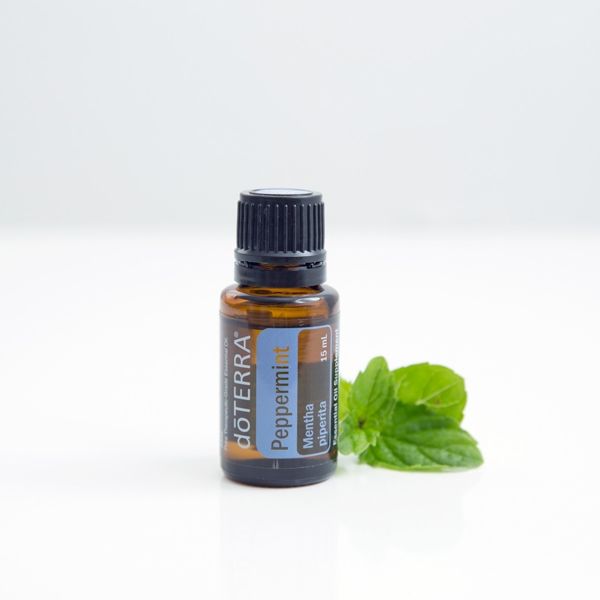 Doterra Ätherische Öle: DoTERRA Peppermint ätherisches Öl 15 ml  – Neu und originalverpackt aus Riniken von Lessy-