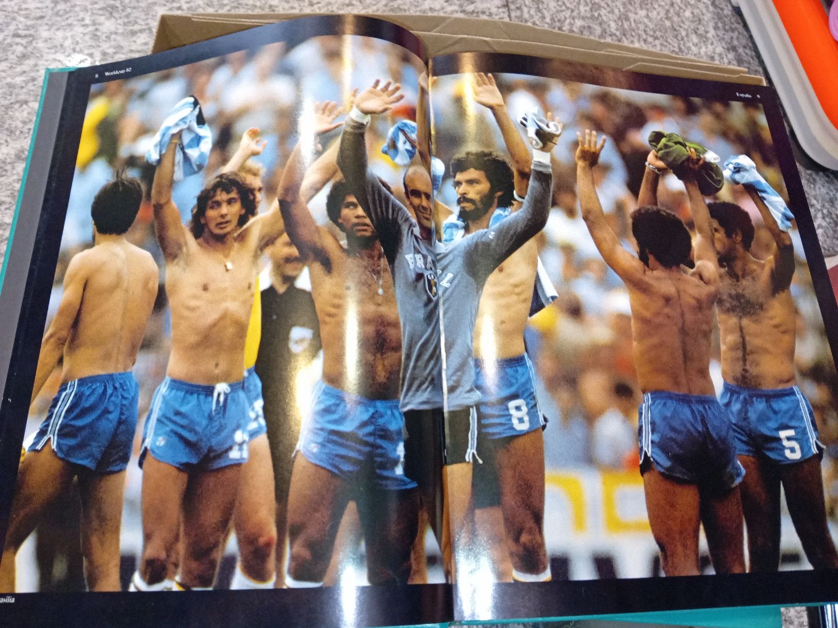 Libri: World Cup 1982 Spagna 2 volumi – Usato da Biasca venduto da Old_6blh 5