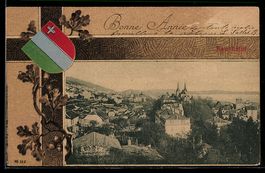 Neuchatel, Gesamtansicht aus der Vogelsc