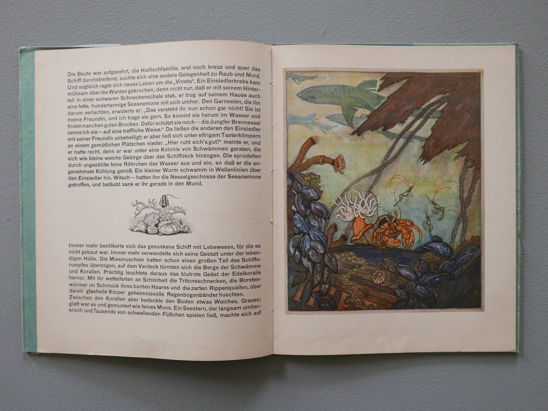 Bücher: DIE WUNDERBURG IM MEER 1929 – Gebraucht aus Balgach von Zwischenraum 4