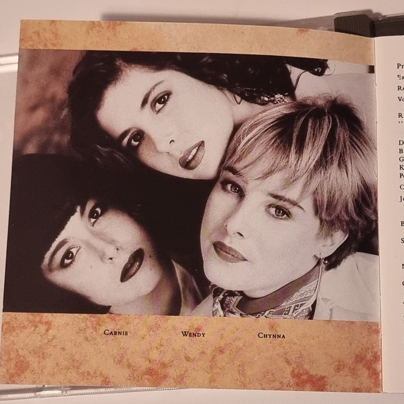 CD: Wilson Phillips - Wilson Philips CD mit Hit Hold On! – Usato da Villigen venduto da Tschachtlan 7