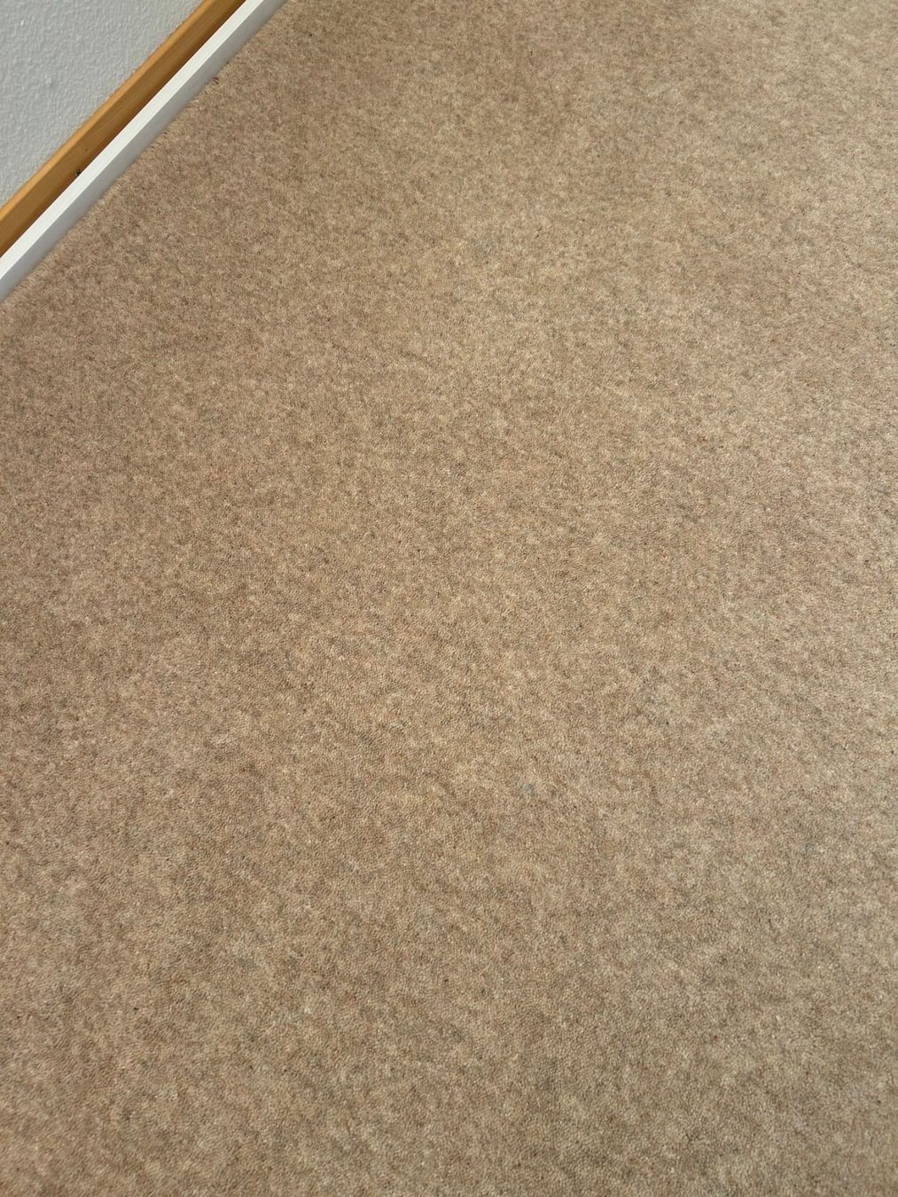 Teppiche: Teppich – Gebraucht aus Zürich von Mobiliaris