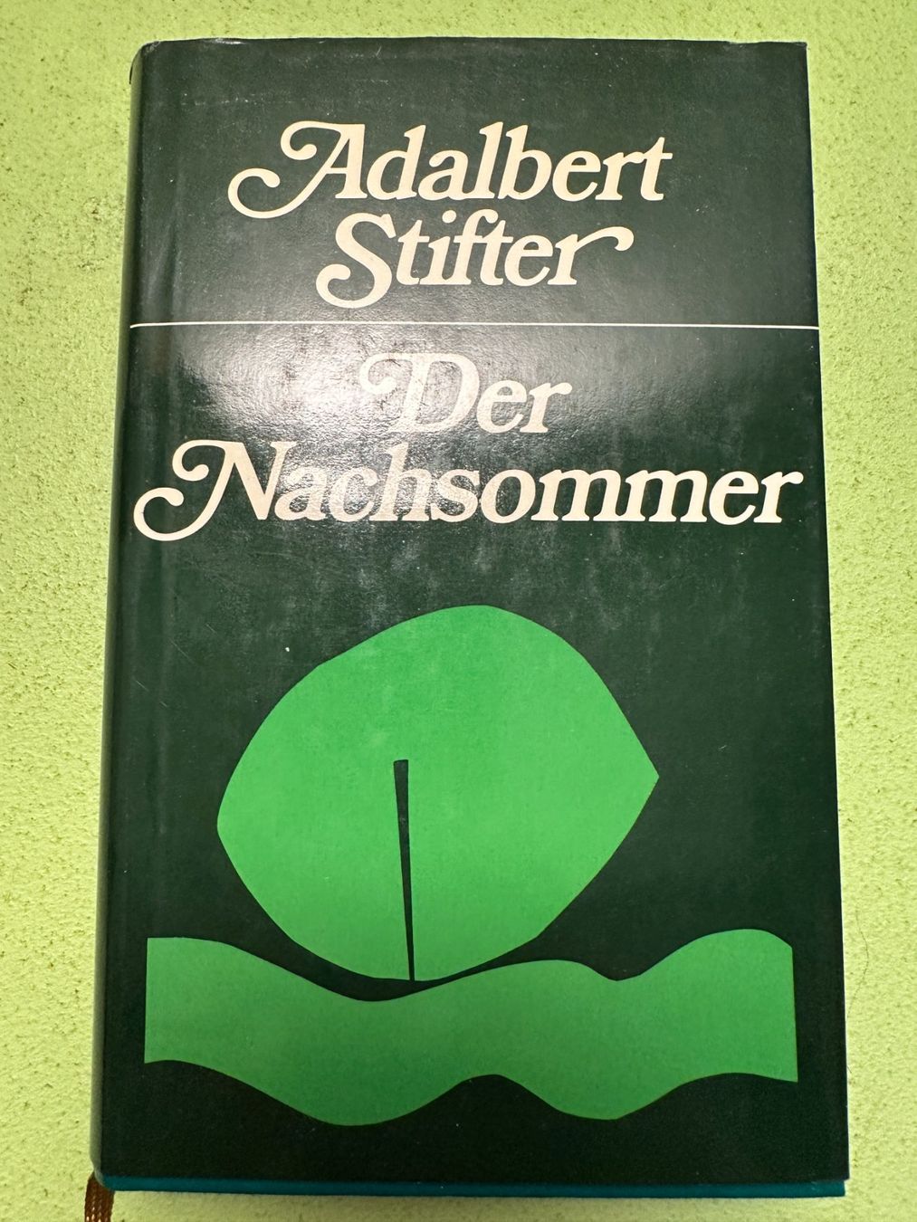 Libri: Adalbert Stifter: Der Nachsommer – Usato da Zürich venduto da allp