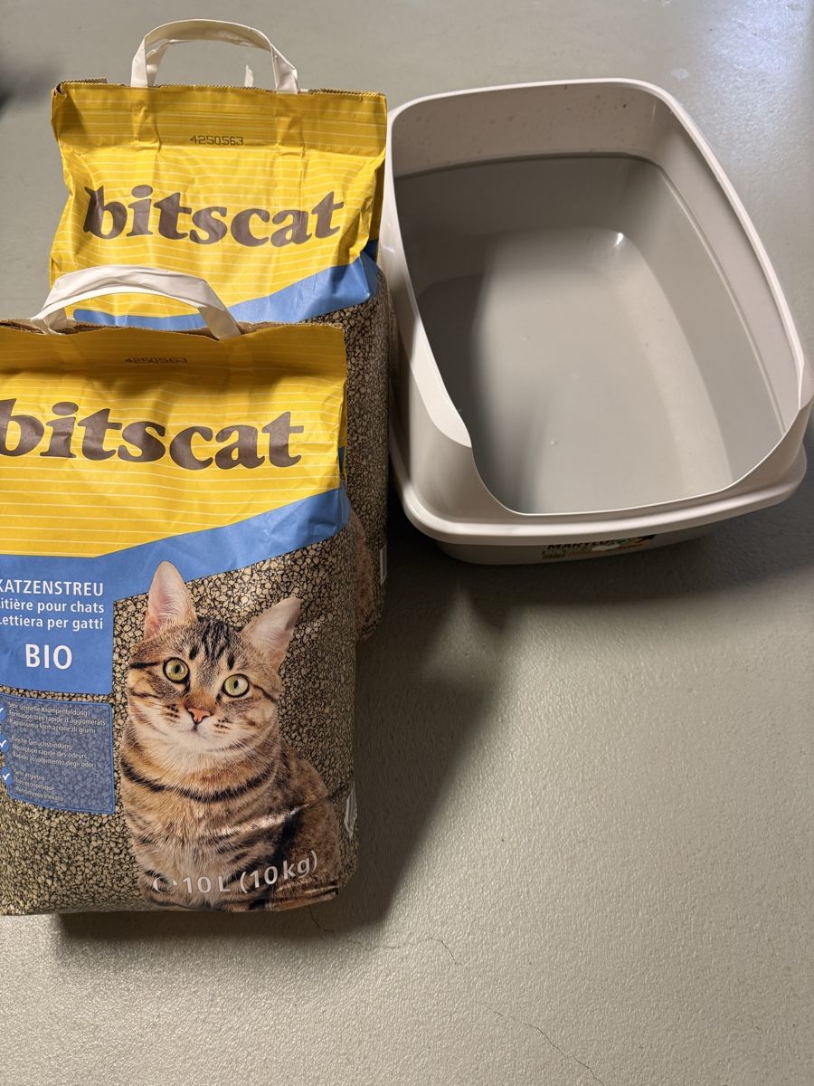 WC: Katzenklo plus Streu – Usato da Kallern venduto da MichaDu