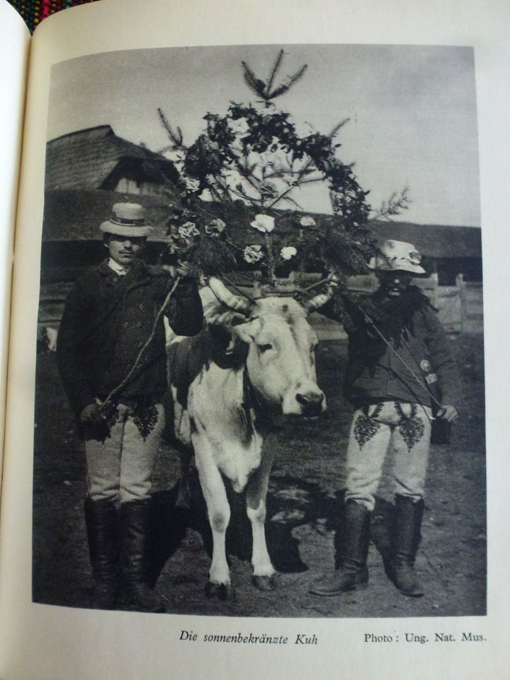 Libri: Karoly Visky: VOLKSBRAUCH DER UNGARN – Usato da Rotkreuz venduto da eulennest 8