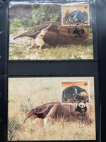 Paraguay 1985 WWF Satz Ameisenbär Gürteltier Maximumkarten