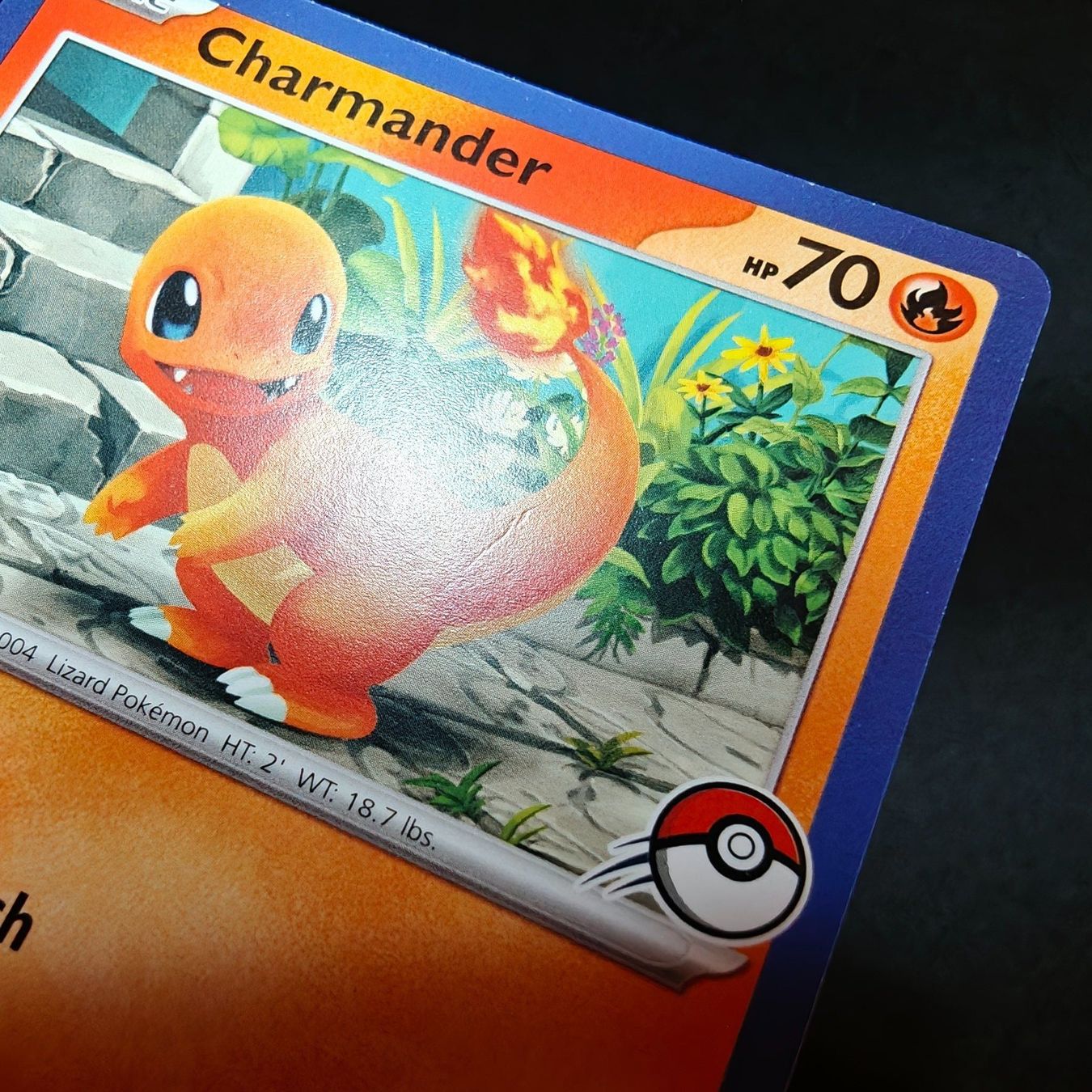 Pokémon Sammelbilder & Trading cards: 💎 Charmander My First Battle Blue Border gratis Versand – Neu (gemäss Beschreibung) aus Wahlen b. Laufen von ThoroTCG 2