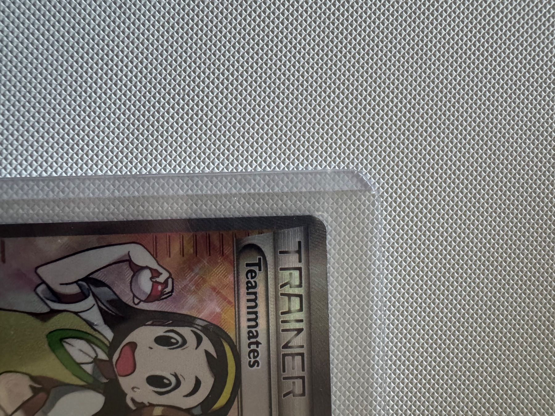 Pokémon Carte collezionabili: Carte Pokémon Teammattes – Nuovo e nell'imballaggio originale da Courtepin venduto da cr7_jk98 4