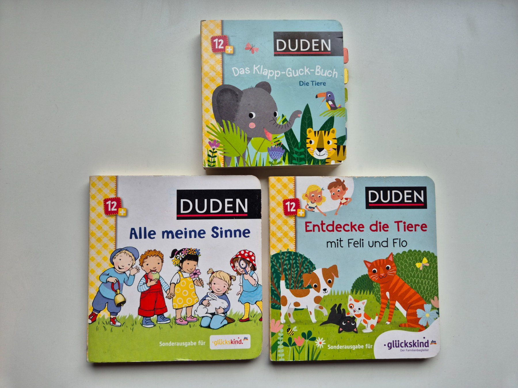 Libri: BÜCHERPAKET  3 Bücher DUDEN  12+ – Usato da Niederweningen venduto da Obson