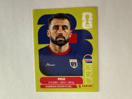 Pico CPV4 - Panini CH Edition WM 2026