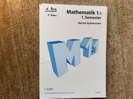 Mathematik 1.1. 1. Semester Martin Spaltenstein Lehrmittel