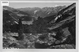Blick von Süsom Give Ofenpasshöhe - Münstertal, Cierfs Lü