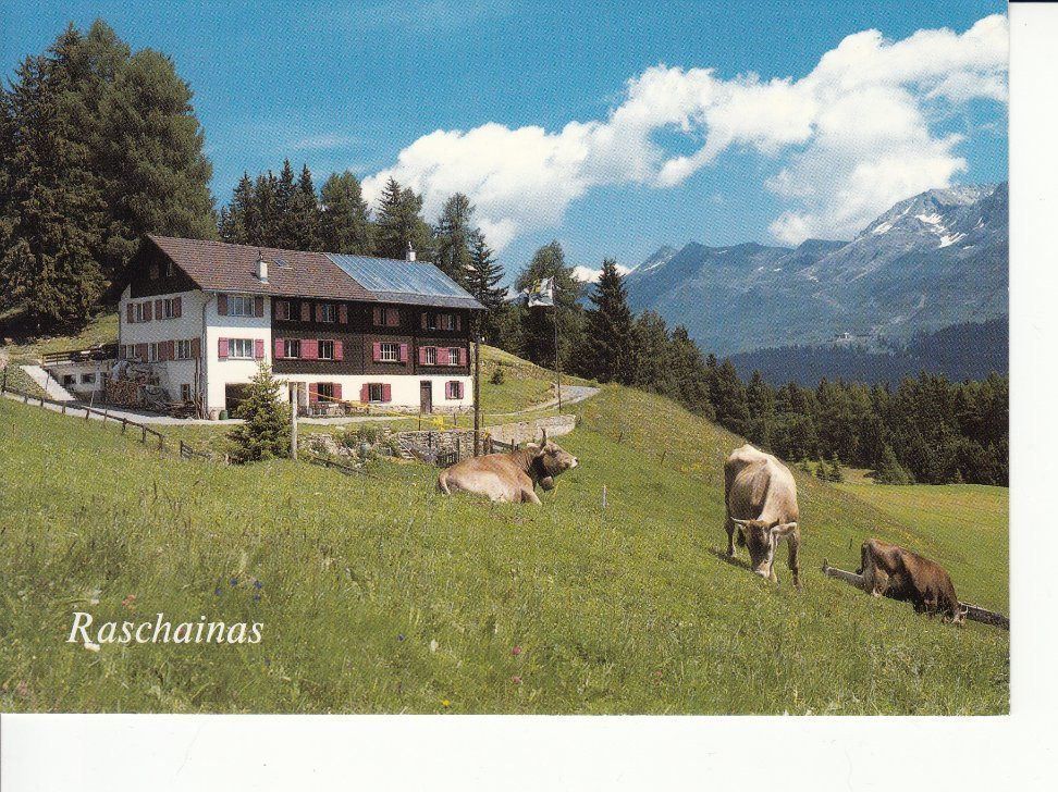Cartes postales: Raschainas um 1995 – D'occasion à Bürglen TG par StampGraf