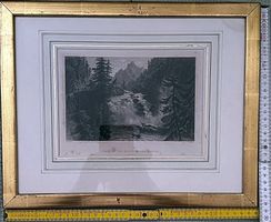 Rhein bei der Rofflaschlucht, Stahlstich Bild 18x12,Bartlett
