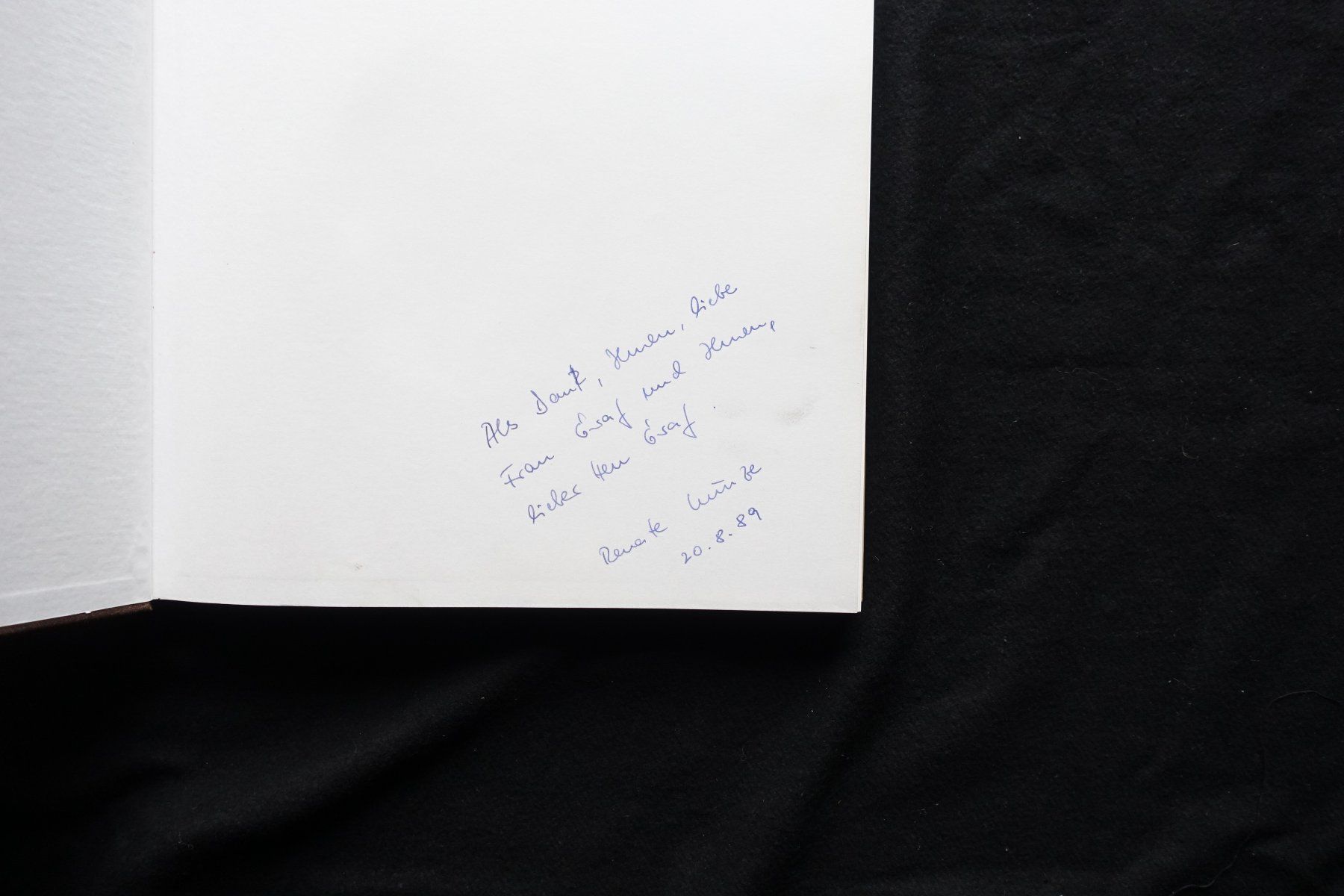 Libri: Adi Holzer, 1986, Galerie Carinthia – Usato da Gutenswil venduto da Optico 3
