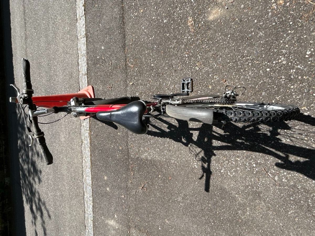 Biciclette: Swift Booster FXB Mountain Bike – Usato da Bottmingen venduto da LuckyLuke2008 2