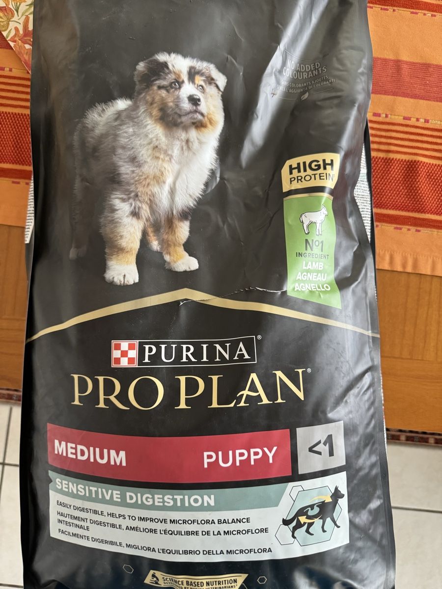 Futter: Hundefutter für Welpen – Neu und originalverpackt aus Lutzenberg von KatharinaM01 1