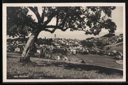 AK Heiden, Ortsansicht, 1938