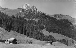 Kiental, Alp Marggofel im Spiggengrund