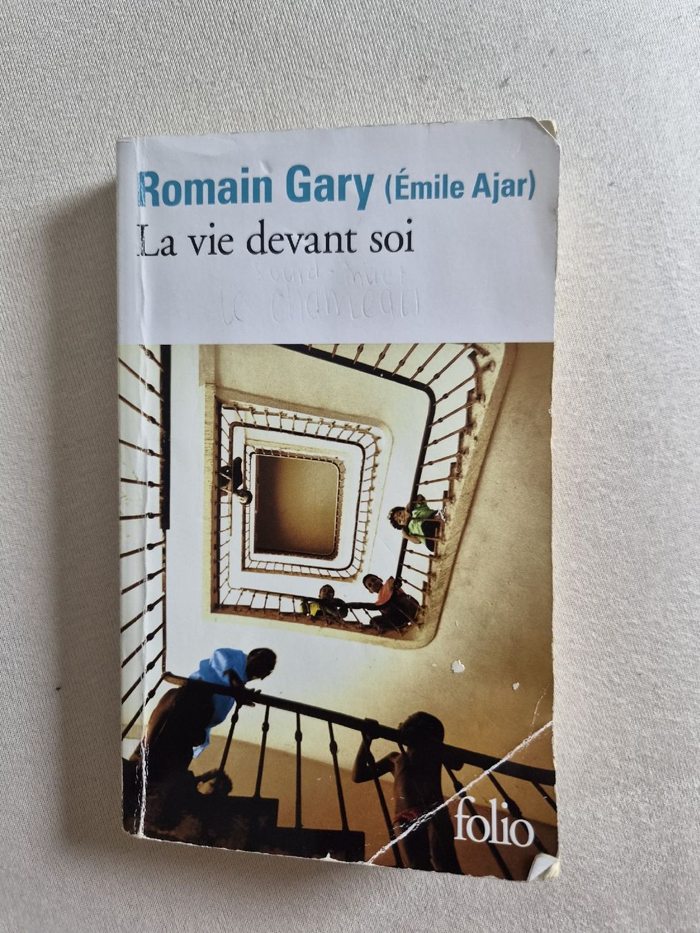 Libri: La vie devant soi Roman Gary Folio Taschenbuch  – Usato da Uznach venduto da rir_k7xb