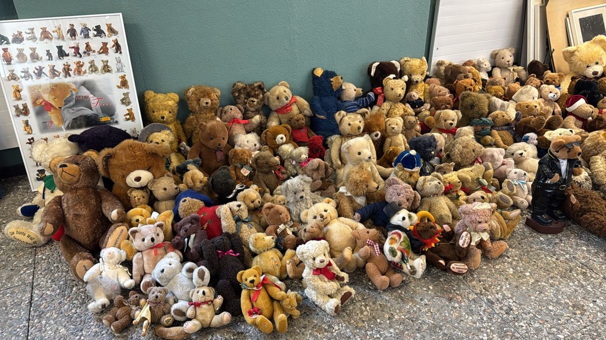 Bambole: Plüschtiere Teddybären – Usato da Kollbrunn venduto da Jani2015