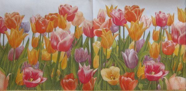 Servietten: Serviette tulpen (O75) 2Stk. – Neu (gemäss Beschreibung) aus Schlatt TG von kreativ-atelier