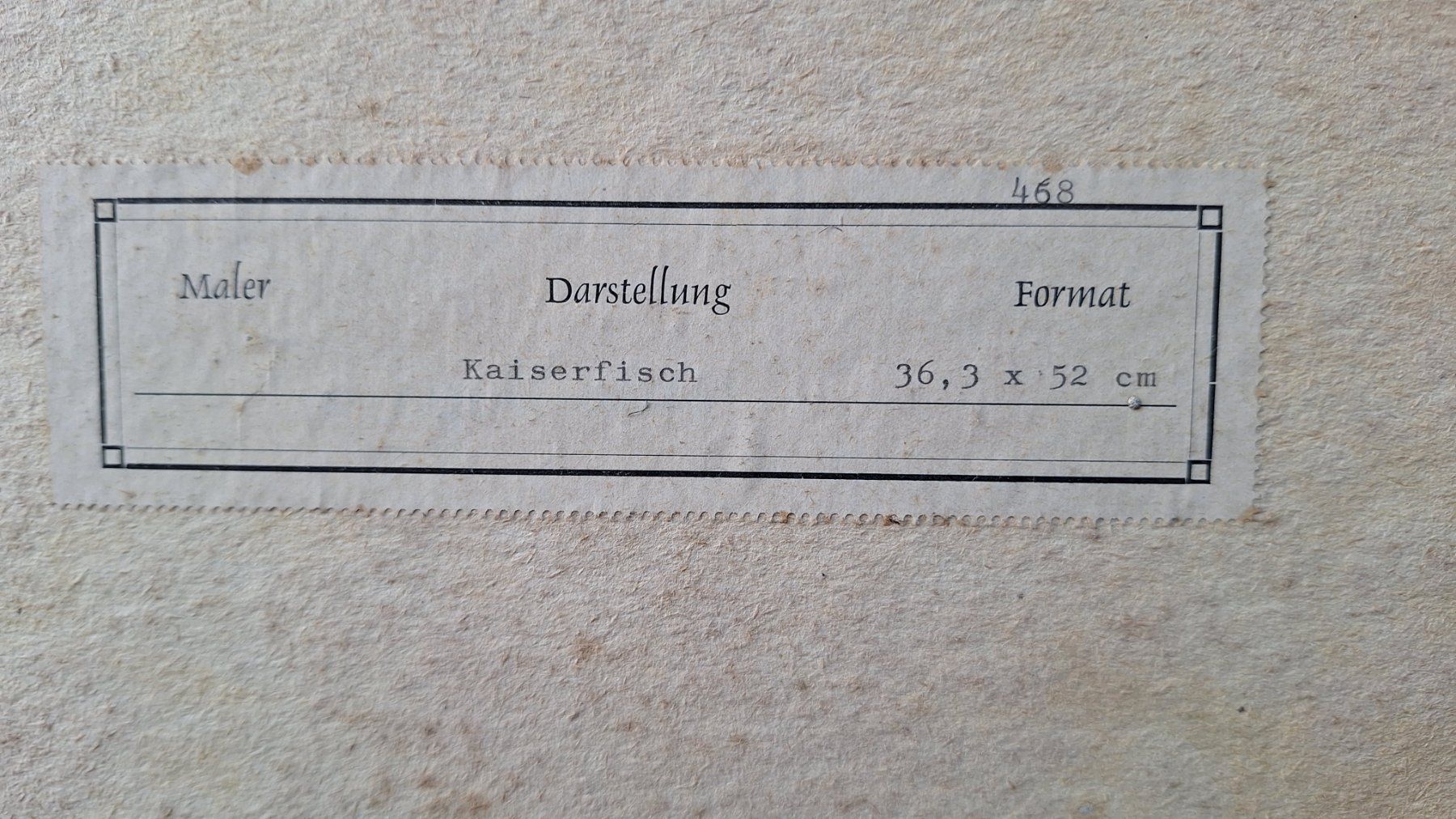 Incisioni: Kupferstich, Kaiserfisch mit Rahmen – Usato da Weinfelden venduto da JoeBaer 6