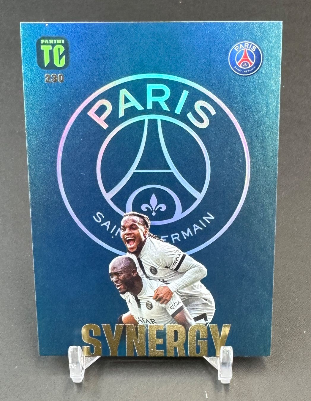 Panini Cartes à collectionner: PSG Danilo / Renato Sanches 2023 Panini Top Class Synergy – D'occasion à Jegenstorf par plataOplomo