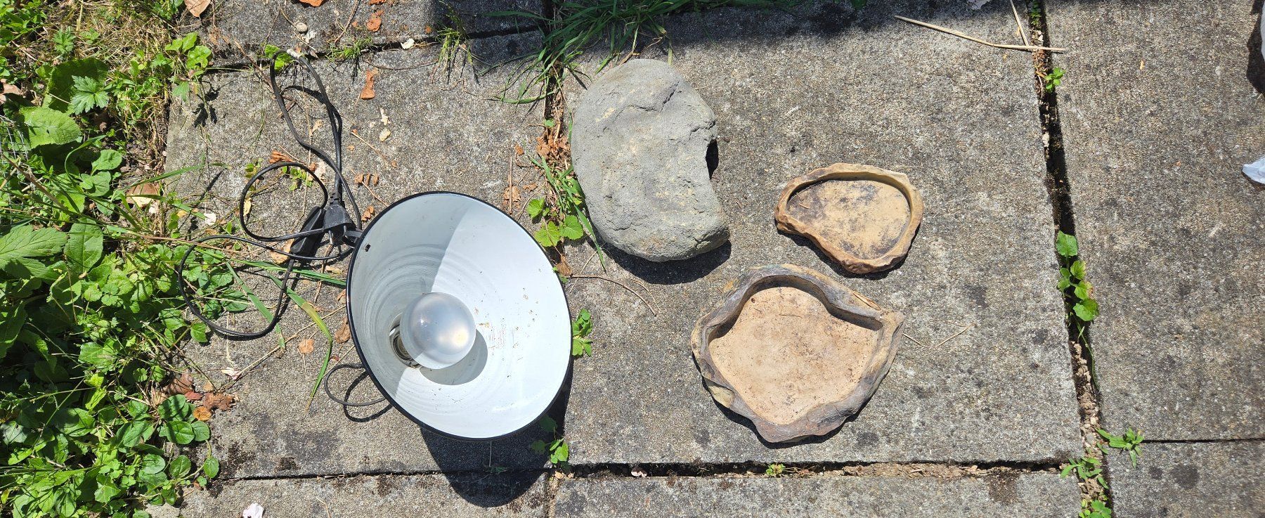 Lampen: Terrariumbeleuchtung – Gebraucht aus Delémont von mvl_l76c 1