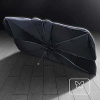 Sonnenschutz Frontscheibe Tesla Model 3/Y
