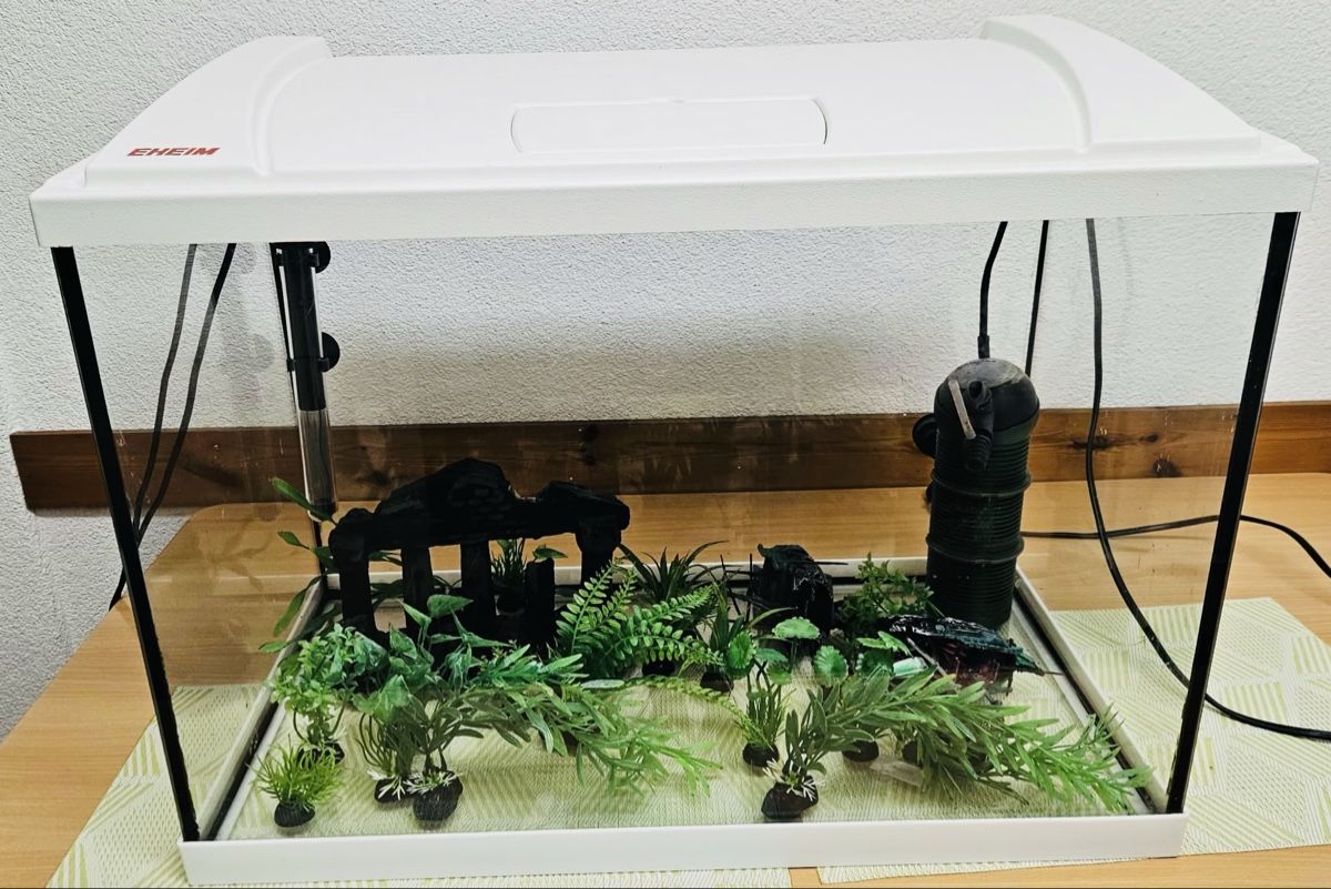 Aquarium: Aquarium – Gebraucht aus Riedern von drea_83 2